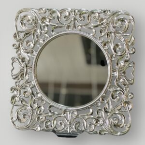 Sarmaşık Gümüş Supla